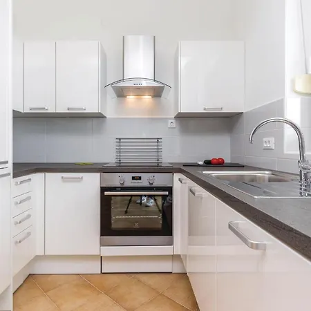 Cozy In With Kitchen Apartment